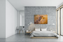 Glass Picture Wall Art - Picture on Glass SART03A Animals Series: Lion cubs playing