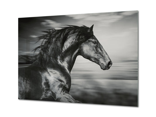Glass Picture Wall Art - Picture on Glass SART03A Animals Series: Black and white horse