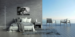 Glass Picture Wall Art - Picture on Glass SART03A Animals Series: Black and white horse