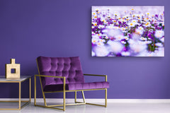 Modern Glass Picture - Contemporary Wall Art SART04 Flowers and leaves Series: Spring field of white fresh daisies