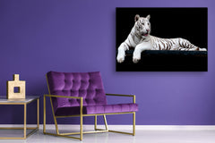Arte mural - Impresión en lienzo de vidrio SART03B Serie Animales: Tigre blanco