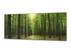 Glass Print Wall Art – Image on Glass 125 x 50 cm (? 50” x 20”) ; Forest 7