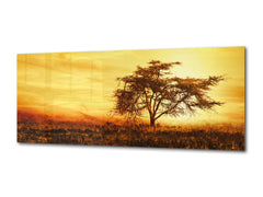 Graphic Art Print on Glass – Available in 5 different sizes – Nature Series 01B: African tree silhouette over sunset