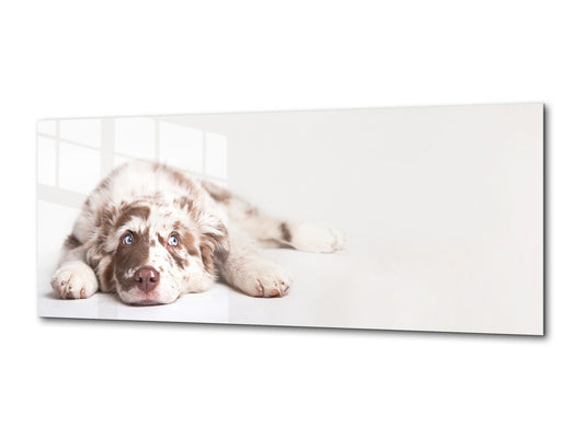 Wandbild aus Glas – erhältlich in 5 verschiedenen Größen – Tiere Serie 02: Hund