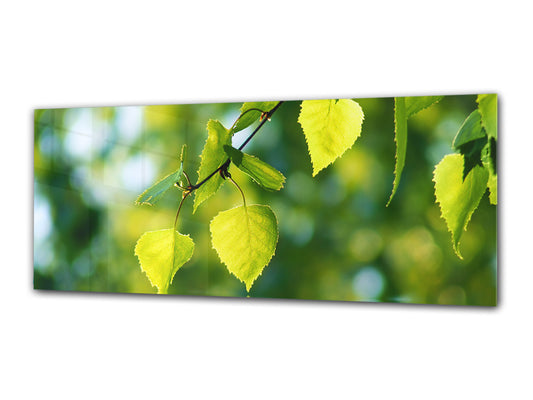 Glass Print Wall Art – Image on Glass 125 x 50 cm (? 50” x 20”) ; Leaves 1