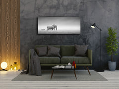Wall Art Glass Print Picture – Available in 5 different sizes – Animals Series 02: African animals