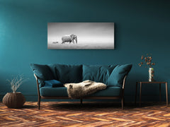 Wall Art Glass Print Picture – Available in 5 different sizes – Animals Series 02: African animals
