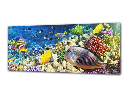 Glasdruck-Wandkunst – Bild auf Glas 125 x 50 cm (≈ 50” x 20”) ; Meer 4