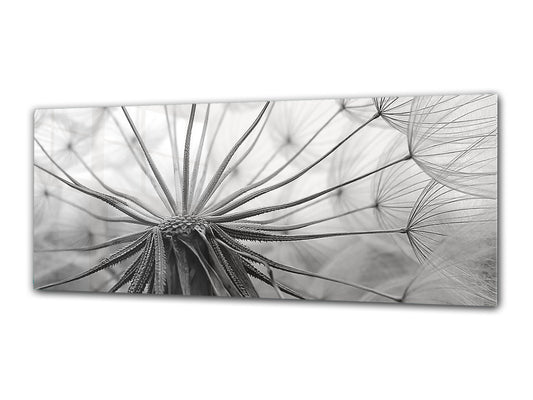 Glass Print Wall Art – Image on Glass 125 x 50 cm (? 50” x 20”) ; Dandelion 8