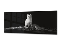Wall Art Glass Print Picture – Available in 5 different sizes – Animals Series 02 Polar fox