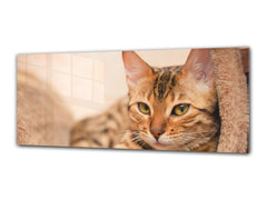 Glass Print Wall Art – Image on Glass 125 x 50 cm (? 50” x 20”) ; Cat 1
