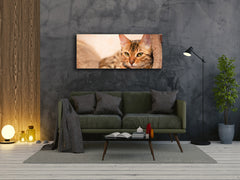 Glass Print Wall Art – Image on Glass 125 x 50 cm (? 50” x 20”) ; Cat 1