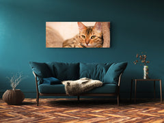 Glass Print Wall Art – Image on Glass 125 x 50 cm (? 50” x 20”) ; Cat 1