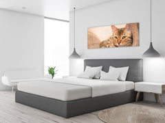 Glass Print Wall Art – Image on Glass 125 x 50 cm (? 50” x 20”) ; Cat 1