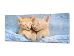 Glass Print Picture – Available in 5 different sizes – Animals Series 02: Baby cats sleeping