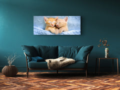 Glass Print Picture – Available in 5 different sizes – Animals Series 02: Baby cats sleeping