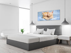 Glass Print Picture – Available in 5 different sizes – Animals Series 02: Baby cats sleeping