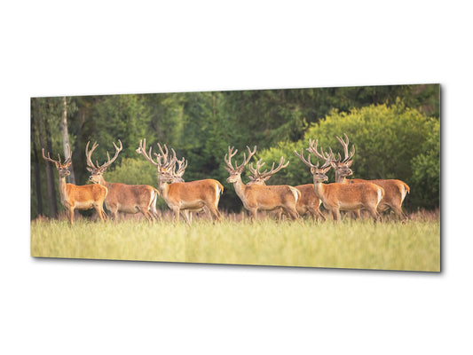 Wandbild aus Glas – erhältlich in 5 verschiedenen Größen – Tiere Serie 02: Friedliche Tierherde in der Natur