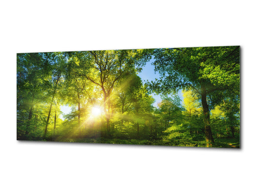 Wandbild auf Glas – Erhältlich in 5 verschiedenen Größen – Naturserie 01A: Sonnenlicht in einem üppig grünen Wald