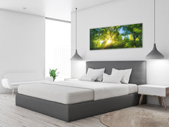 Glass Print Wall Art – Available in 5 different sizes – Nature Series 01A: Sunlight in a lush green forest