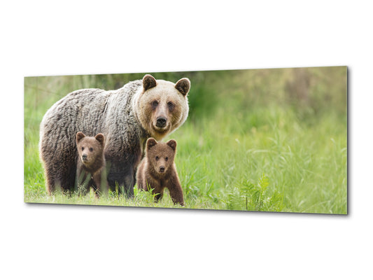 Wandbild aus Glas – erhältlich in 5 verschiedenen Größen – Tiere Serie 02: Bärenfamilie
