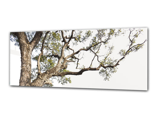 Glasdruck-Wandkunst – Bild auf Glas 125 x 50 cm (≈ 50” x 20”) ; Baum 3