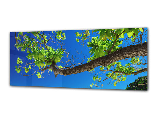 Glasdruck-Wandkunst – Bild auf Glas 125 x 50 cm (≈ 50” x 20”) ; Baum 4