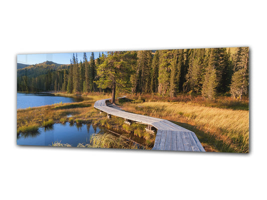 Glasdruck-Wandkunst – Bild auf Glas 125 x 50 cm (≈ 50” x 20”) ; Wald 5