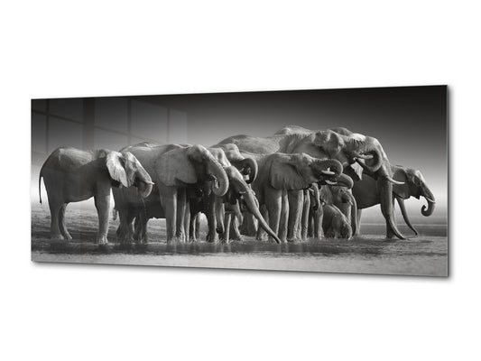 Wandbild auf Glas – erhältlich in 5 verschiedenen Größen – Tiere Serie 02: Botswana Safari