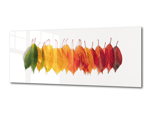 Glass Wall Art - Available in 5 different sizes – Flowers and leaves Series 03: Autumn creative composition
