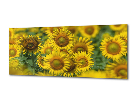 Glaswandkunst – Erhältlich in 5 verschiedenen Größen – Blumen und Blätter Serie 03: Sonnenblumen