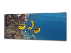 Glasdruck-Wandkunst – Bild auf Glas 125 x 50 cm (≈ 50” x 20”) ; Wasser 6