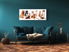 Glass Print Wall Art – Image on Glass 125 x 50 cm (? 50” x 20”) ; Dogs 2