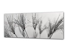 Glass Print Wall Art – Image on Glass 125 x 50 cm (? 50” x 20”) ; Dandelion 9