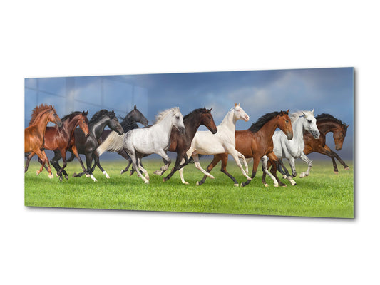 Wandbild aus Glas – erhältlich in 5 verschiedenen Größen – Tierserie 02: Pferde auf Sommerwiese
