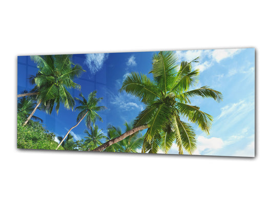 Glasdruck-Wandkunst – Bild auf Glas 125 x 50 cm (≈ 50” x 20”) ; Palmen 3
