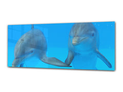 Glass Print Wall Art – Image on Glass 125 x 50 cm (? 50” x 20”) ; Dolphins
