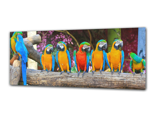 Wandbild auf Glas – Bild auf Glas 125 x 50 cm (≈ 50” x 20”) ; Papageien