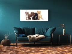 Wall Art Glass Print Picture – Available in 5 different sizes – Animals Series 02: Kittens and puppies