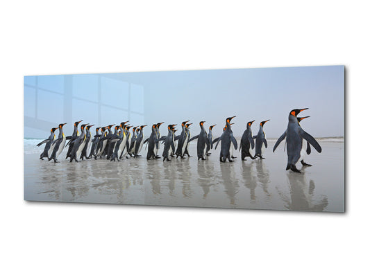Wandbild aus Glas – erhältlich in 5 verschiedenen Größen – Tierserie 02: Gruppe Königspinguine