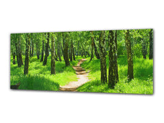 Glass Print Wall Art – Image on Glass 125 x 50 cm (? 50” x 20”) ; Forest 9
