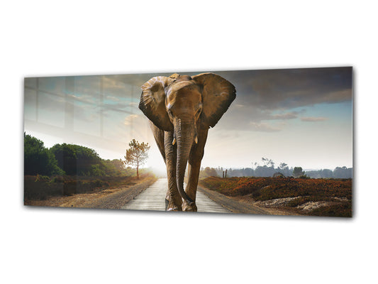 Wall Picture behind Tempered Glass 125 x 50 cm (? 50” x 20”) ; Majestic Elephant