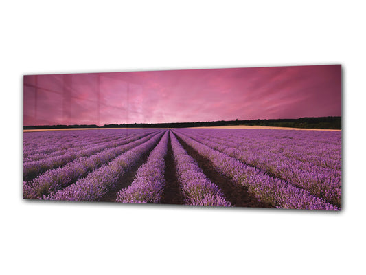 Glasdruck-Wandkunst – Bild auf Glas 125 x 50 cm (≈ 50” x 20”) ; Heidekraut