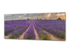 Glass Print Wall Art – Image on Glass 125 x 50 cm (? 50” x 20”) ; Heathers 1