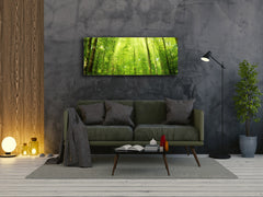 Glass Print Wall Art – Image on Glass 125 x 50 cm (? 50” x 20”) ; Forest 16