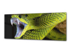 Glass Print Wall Art – Image on Glass 125 x 50 cm (? 50” x 20”) ; Animals 1