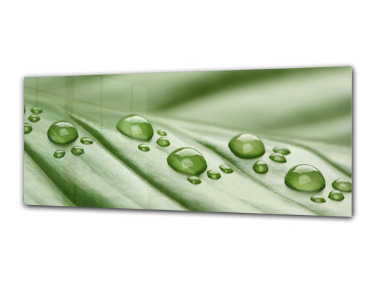 Glass Print Wall Art – Image on Glass 125 x 50 cm (? 50” x 20”) ; Leaf 1