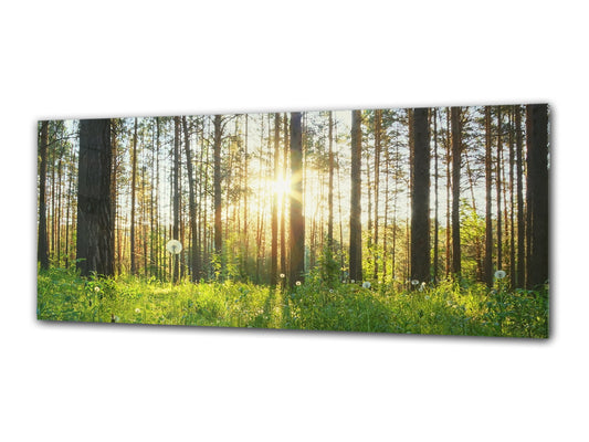Glasdruck-Wandkunst – Bild auf Glas 125 x 50 cm (≈ 50” x 20”) ; Wald 6