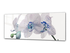 Glass Print Wall Art – Image on Glass 125 x 50 cm (? 50” x 20”) ; Orchid 10