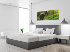 Glass Print Wall Art – Image on Glass 125 x 50 cm (? 50” x 20”) ; Bear